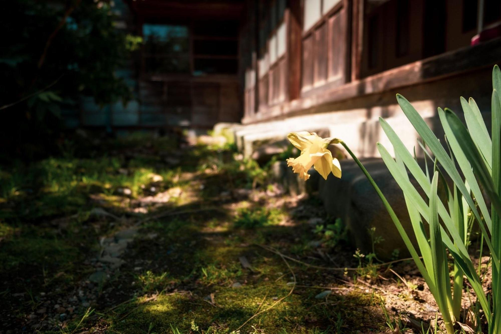 Honno Ryokan / Vacation Stay 60049 Yahaba ภายนอก รูปภาพ